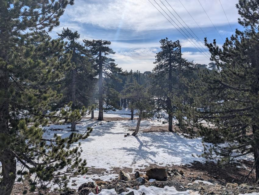 Troodos