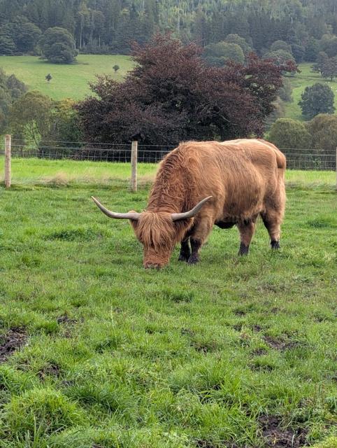 Highlands day trip 07