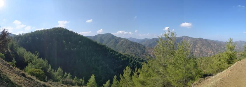 Safari Kalopanayiotis