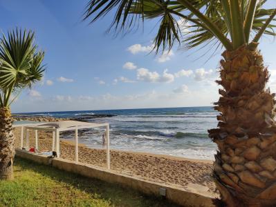 Aquamare Beach Hotel & Spa