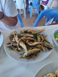 Yiannakis Beach