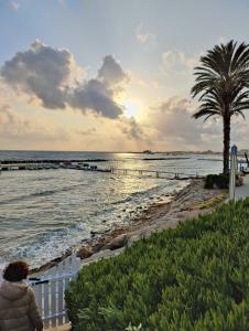 Paphos Promenade