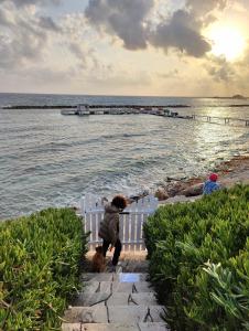 Paphos Promenade