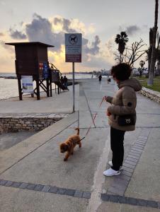 Paphos Promenade