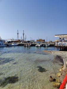 Paphos Promenade