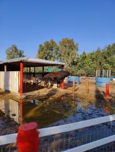 Petrides Farm