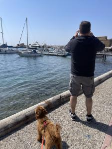 Paphos Promenade