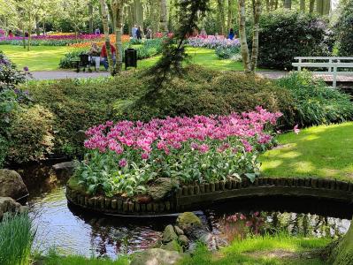 Keukenhof