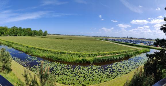 Keukenhof