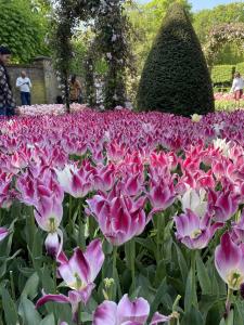 Keukenhof