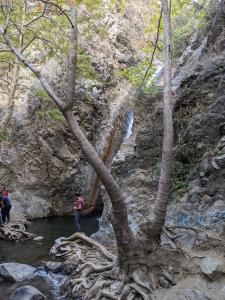 Millomeris Waterfall Trail