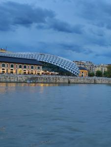 Danube Cruise