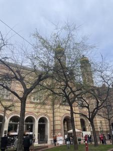 Jewish Quarter - Budapest