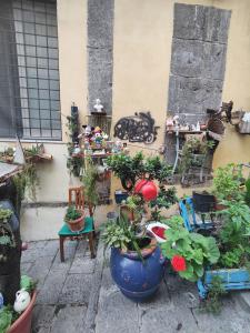 Around Naples