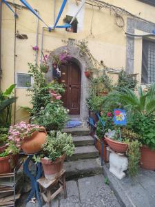 Around Naples