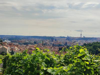 Prague Castle