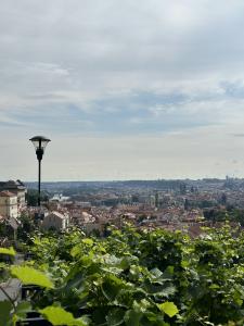 Prague Castle