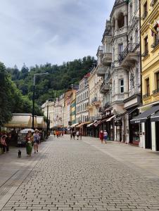 Karlovy Vary