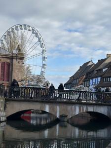 Colmar Boat Ride