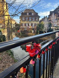 Colmar Boat Ride