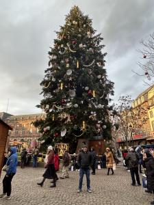 Strasbourg Christmas Markets