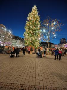 Strasbourg Christmas Markets