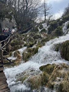  Plitvice Lakes National Park 