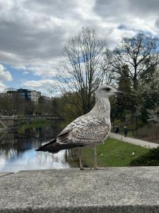 Riga City Center