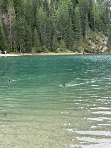 Dolomites & Lake Braies