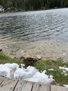 Dolomites & Lake Braies