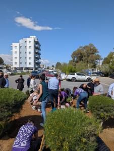 Volt Bi-communal Peace Garden