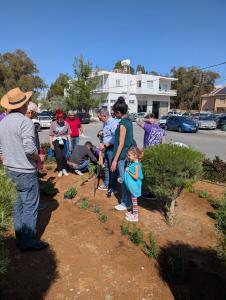 Volt Bi-communal Peace Garden