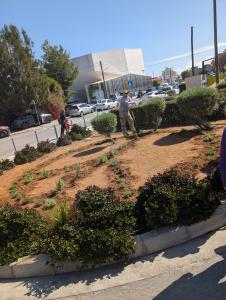 Volt Bi-communal Peace Garden