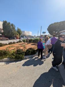 Volt Bi-communal Peace Garden