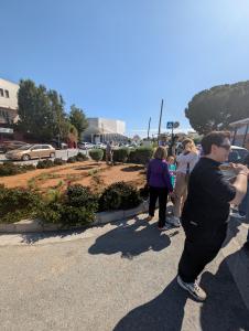 Volt Bi-communal Peace Garden