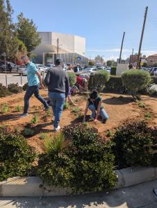 Volt Bi-communal Peace Garden