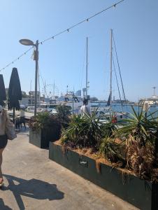 La Barceloneta
