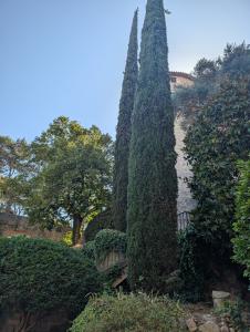 Girona