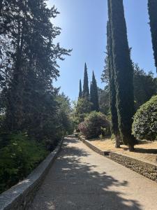 Girona