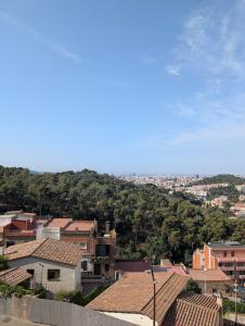 Park Guell