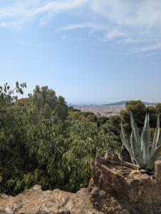 Park Guell