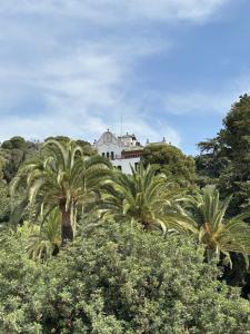 Park Guell