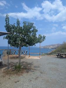 Koullas Sandwiches 01