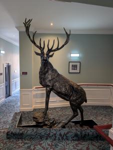 Parliament House Hotel 06