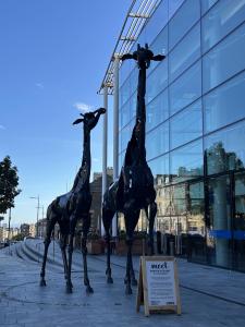 Around Edinburgh 63