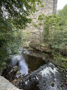 Dean Village 31