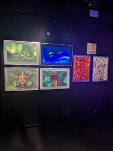 Camera Obscura 16