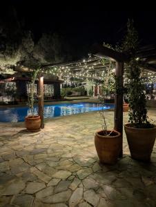 Aniversary at Salt and Fire 01