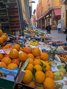 Bologna Food Tour 10
