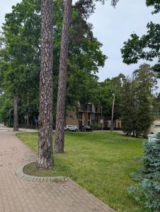 Around Jurmala 06